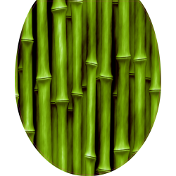 Autocollant WC Bambou 1
