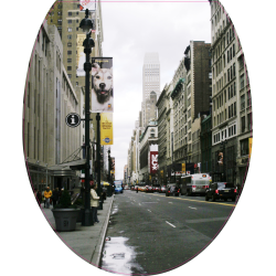 Autocollant WC New York