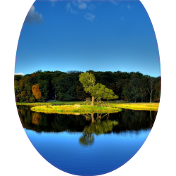 Autocollant WC Paysage