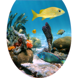 Autocollant WC Poissons