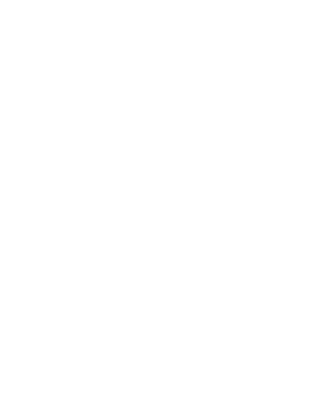 aigle - Oiseaux
