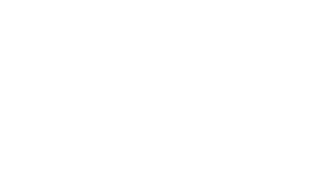 aigle - Oiseaux