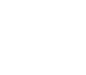 araignée