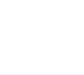 araignée - Divers Animaux