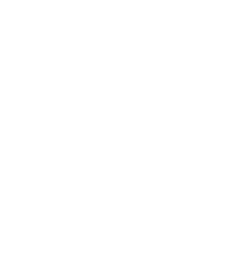 abeille - Divers Animaux