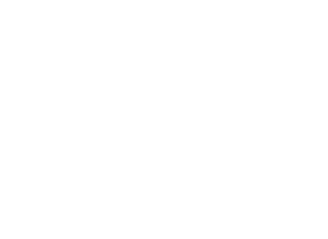 aigle - Oiseaux