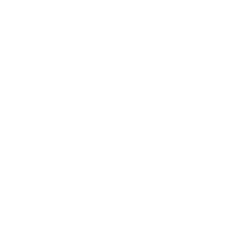 aigle - Oiseaux