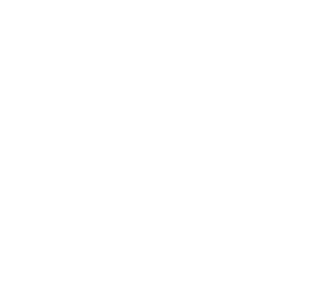 aigle - Oiseaux