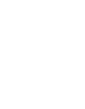 araignée