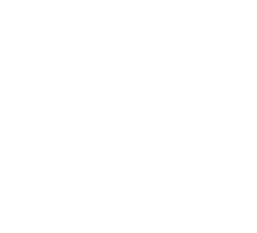 araignée
