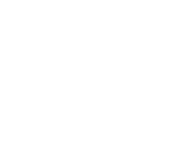 abeille - Divers Animaux