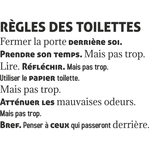 Sticker Mural Citation Les Regles Des Toilettes Vinyle Stickers