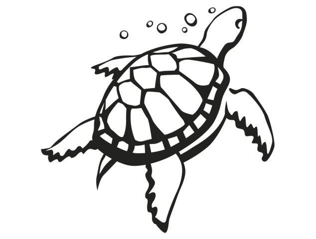 stickers tortue - Vacances