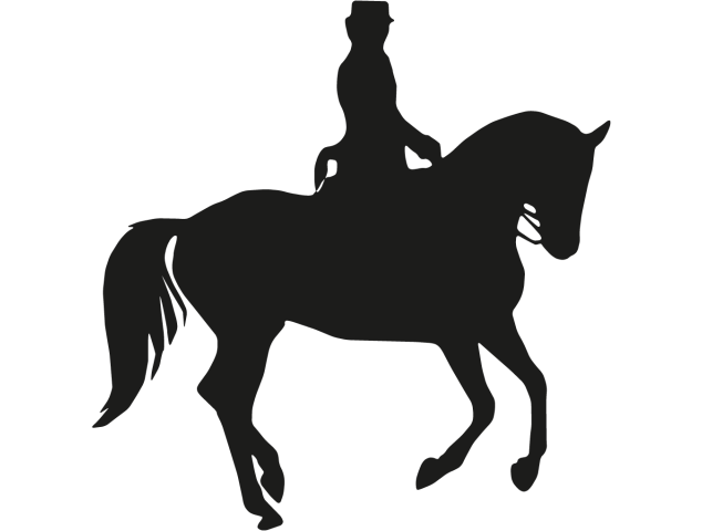 Sticker Cheval 14 - Chevaux