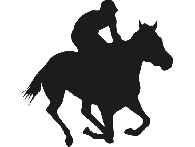 Stickers van chevaux outlet