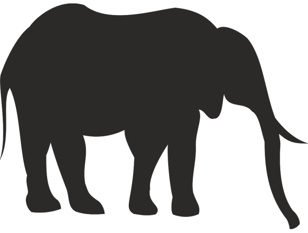 Sticker éléphant - Divers Animaux