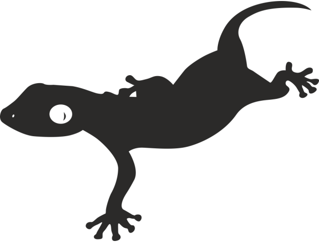 Sticker salamandre - Divers Animaux