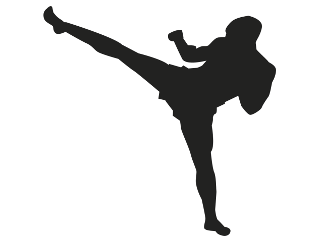 Sticker sport combat - Sport