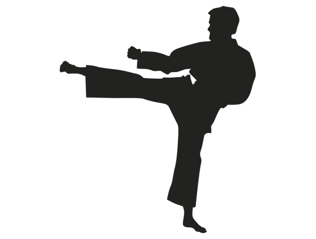 Sticker sport combat - Sport