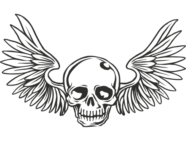 Sticker Skull Wings 3 - Têtes de Mort