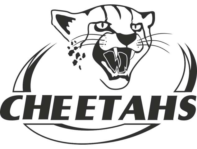 Sticker Rugby Logo Cheetahs - Sport