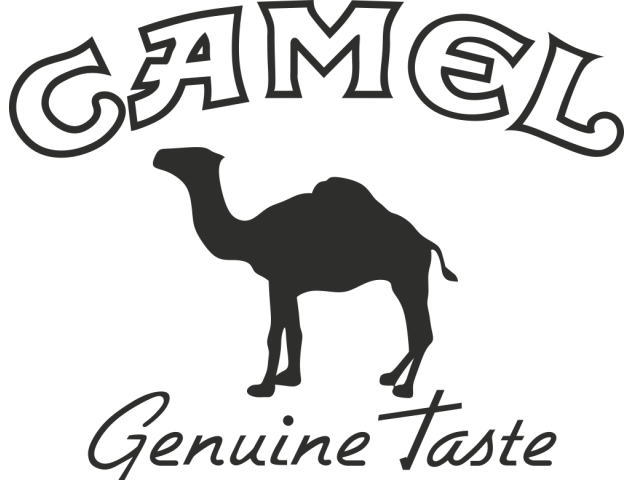 Sticker Camel - Tabac