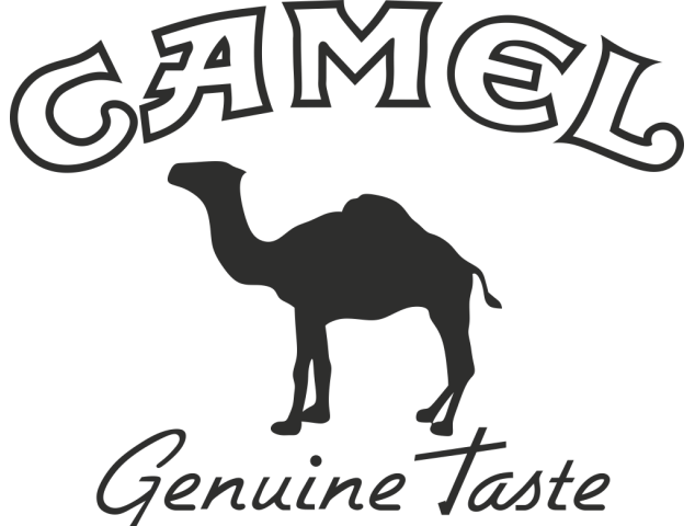 Sticker Camel - Tabac