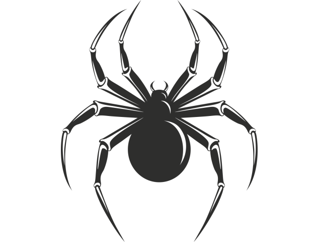 Sticker Araignée - Divers Animaux
