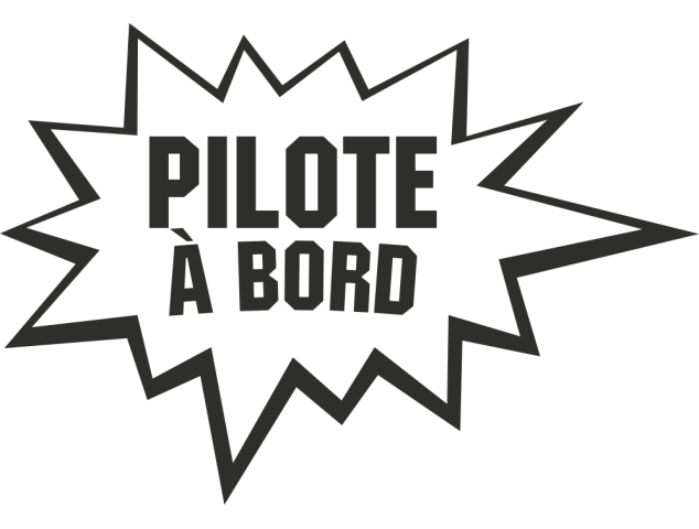 Sticker Humour Pilote - Humours