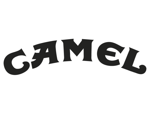 camel - Déco 4x4