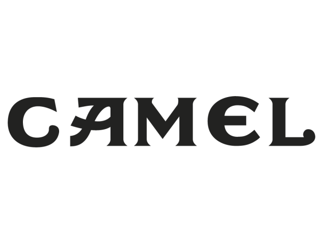 camel - Déco 4x4