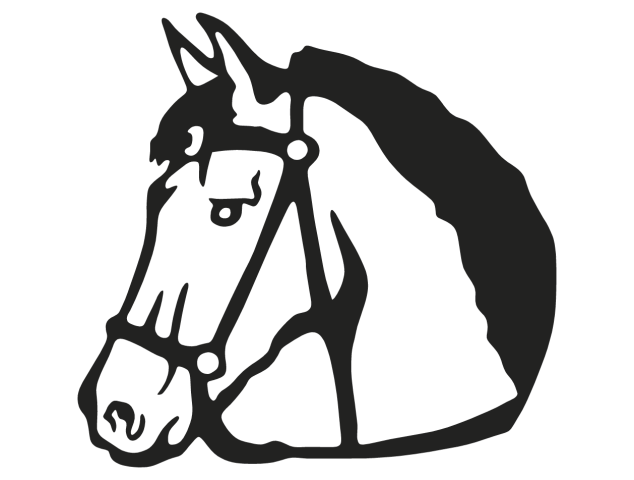 chevaux - Chevaux