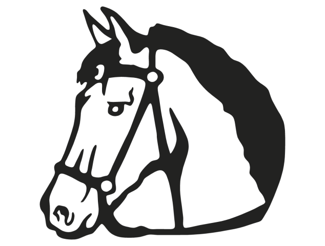 chevaux - Chevaux