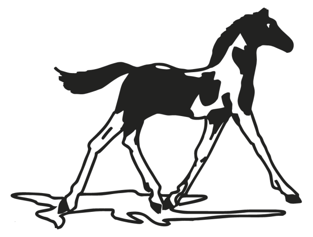 chevaux - Chevaux