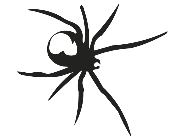 araignée - Divers Animaux