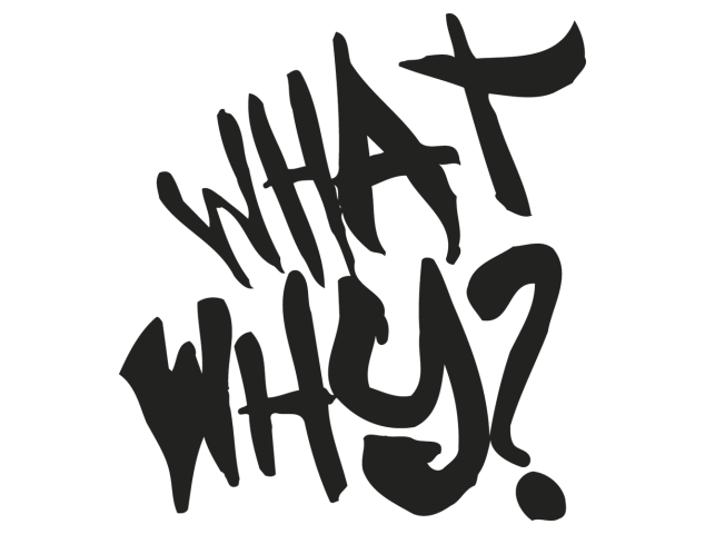 what wy? - Stickers Divers