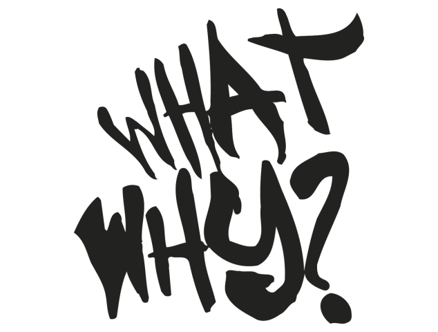 what wy? - Stickers Divers