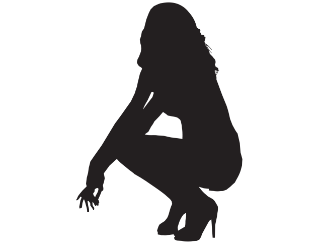 Silhouette Femme Sexy 50 - Sexy et Playboy