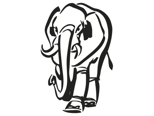 elephant - Divers Animaux