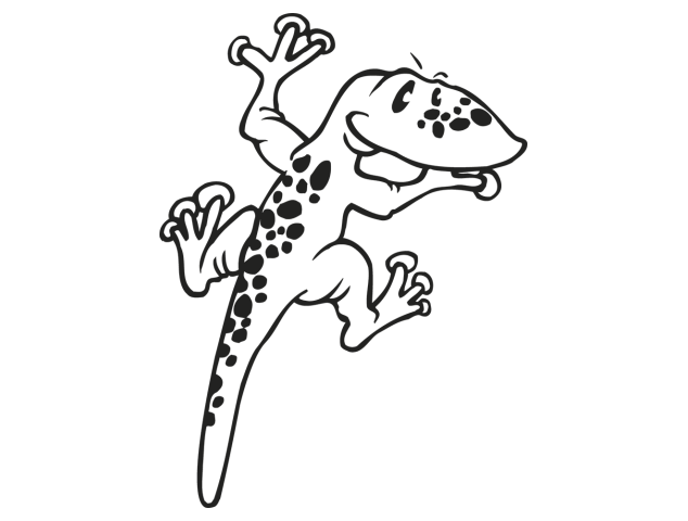 salamandre - Divers Animaux