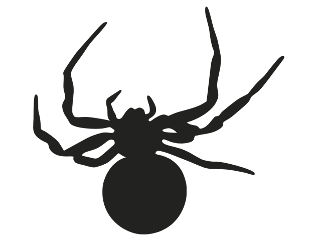 araignée - Divers Animaux