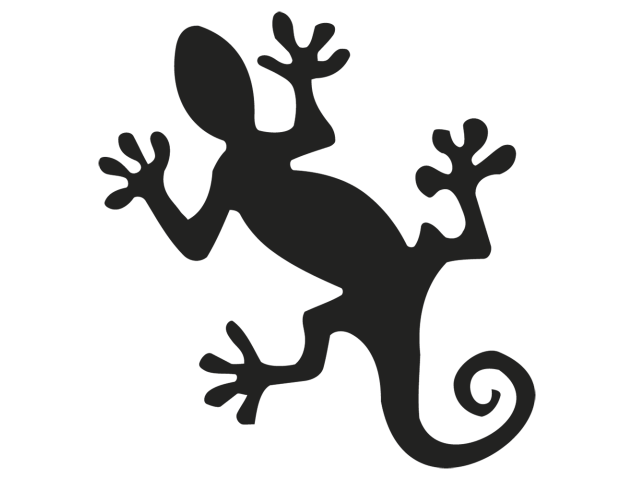 sticker salamandre - Divers Animaux