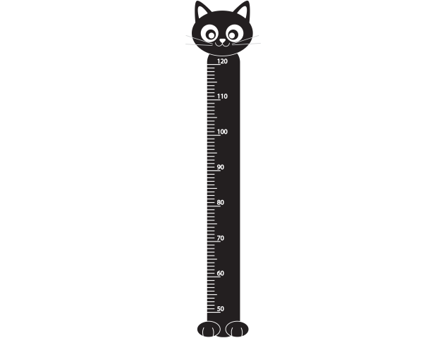 Toise chat noir - 