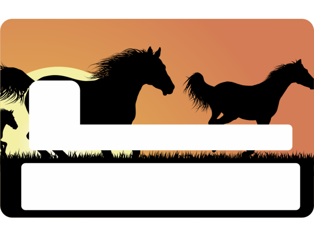 Sticker Cb Chevaux - Skin Pour Carte Bancaire - Carte Bancaire