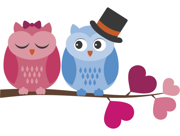 Autocollant Chouette Branche Chapeau - Oiseaux