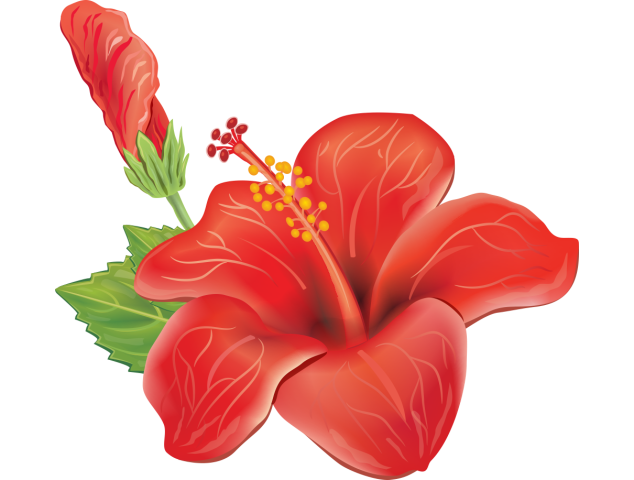 Autocollants Fleur Tropical 1 - Autocollants Couleurs