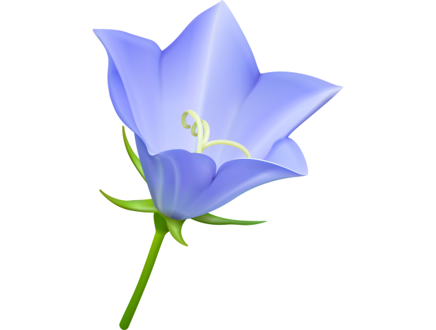 Autocollants Fleur Bleue - Autocollants Couleurs