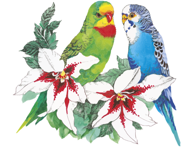 Autocollants Fleur Perroquets Tropical - Autocollants Couleurs