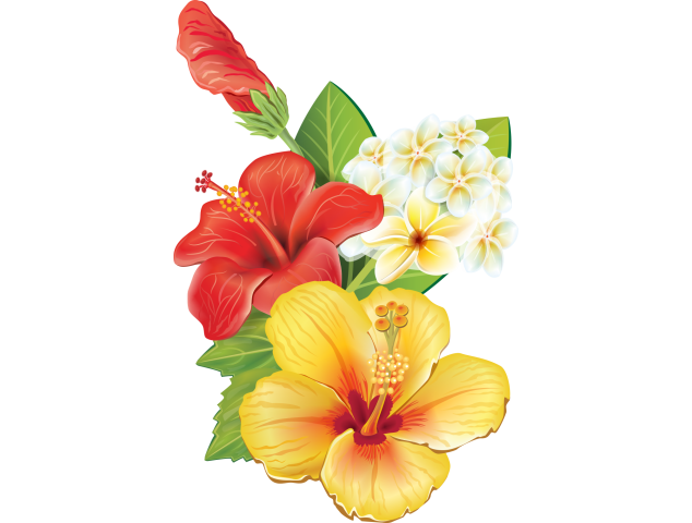 Autocollants Fleur Tropical 7 - Autocollants Couleurs