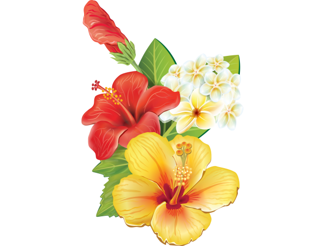 Autocollants Fleur Tropical 7 - Autocollants Couleurs